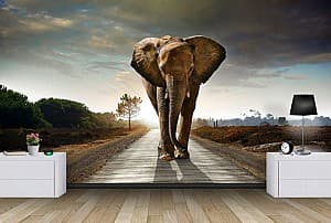 Fototapet 3d Art.Desig Elefant la drum