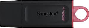 Накопитель USB Kingston DataTraveler Exodia 256GB