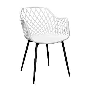 Пластиковый стул DP SL-7019 White/Black