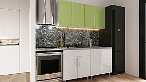 Кухонный гарнитур PS Мини (High Gloss) 1.6 m Green/White