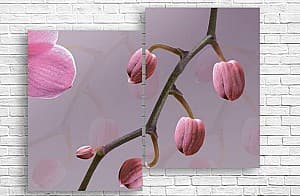 Tablou multicanvas Art.Desig Purpuriu mugur orhidee