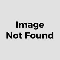 Suflant de aer cald DYLLU DTHG1530