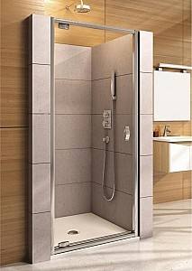 Стеклянная душевая дверь Aquaform Salgado 800x1900 (06075P)