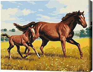 Tablou pe numere BrushMe Galop de familie