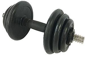 Гантель Sport STI1731