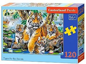 Puzzle Castorland B-13517