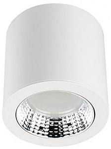 Corp de iluminat directionat LED Rightlight 21W (LBLSRF0321)