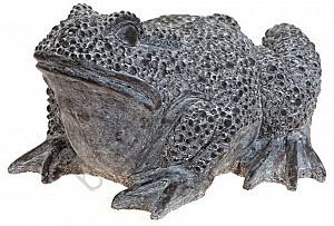 Decor pentru gradina ProGarden Broasca decorativa " piatra" 24769