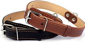 Zgarda pentru caini Import 43079