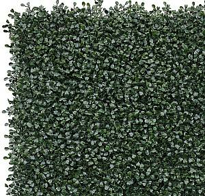 Plasa decorativa gard Greentech Boxwood 50x50cm (17211DG)