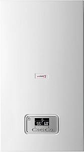 Cazan electric Protherm RAY 21KE