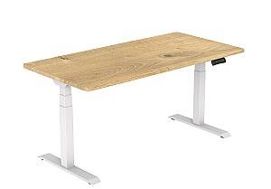 Письменный стол Flexispot EG1 ET223 (160x80) White/Oak