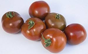 Seminte de rosii Kitano Seeds KS 3900 F1