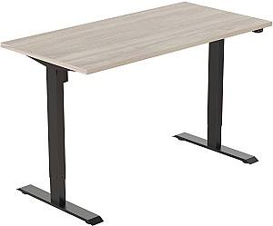 Письменный стол Flexispot ET114 Серый