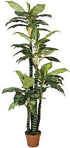 Искусственные цветы OEM/ODM Dieffenbachia 2 Green