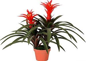 Искусственные цветы OEM/ODM Guimania 60cm Green/Red