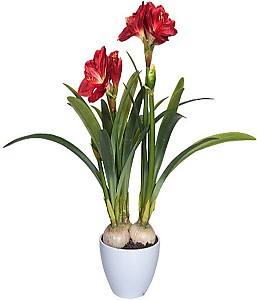 Искусственные цветы OEM/ODM Amaryllis 76cm Green/Red