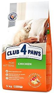 Hrana uscata pentru pisici Club4Paws Kitten Chicken 5kg