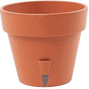  Santino Latina 14.5l