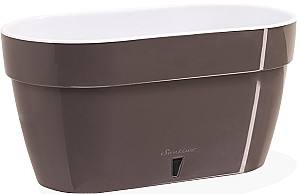  Santino ASTI Window Box 12l