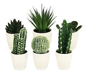 Flori artificiale NVT Aloe&Cactus 23cm