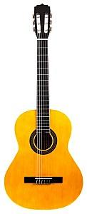 Классическая гитара Fiesta 3/4 FST-200-58 N (чехол в комплекте)