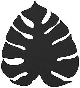 Бра TK Lighting Monstera 4666 Black