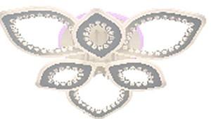 Lustra led VLM 2304/3+3