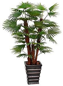 Искусственные цветы OEM/ODM Fan Palm (Green)