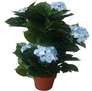 Искусственные цветы OEM/ODM Hydrangea 45см (Green/Blue)