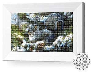 Алмазная картина New World JS13260