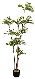 Flori artificiale DP Arbore Phyllanthus Emblica