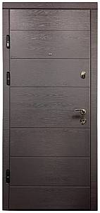 Входная дверь Спирит DT 300 Дуб Грифель (860)