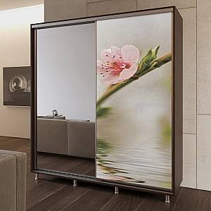 Шкаф-купе PS Д-200 (1 фото) Венге