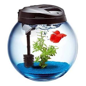 Acvariu Aquael Bowl Sphere 45 Black