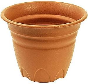  Tontarelli Tullipan (53657)