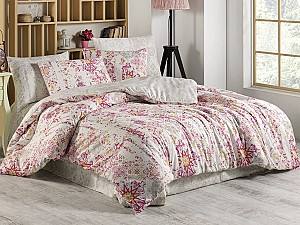 Комплект постельного белья Newhome NH Ranforce Alessi Поликоттон