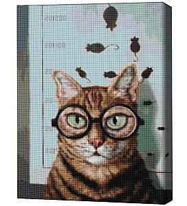 Алмазная картина BrushMe Проверка зрения котика, Lucia Heffernan 40*50 см (без упаковки)