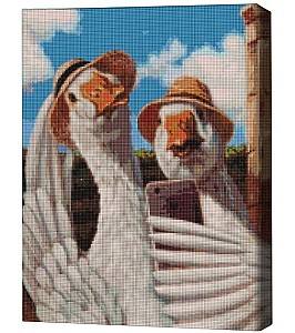 Алмазная картина BrushMe Селфи гусей, Lucia Heffernan 40*50 см (без упаковки)