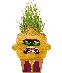 Jucarie interactiva Hape Grădinarul Monstru Capricios cu iarbă – Mary (848103)