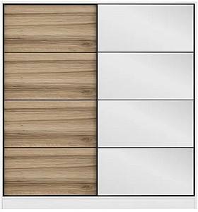 Шкаф-купе Trendy Kale 3966