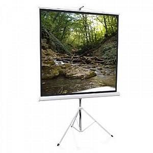 Ecran de proiectie Elite Screens 119 inch (1:1) 213,4x213,4cm (T119NWS1)