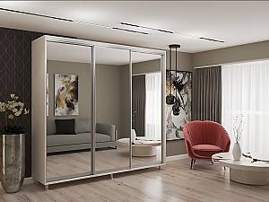 Шкаф-купе My-Style 2.3 x H2.4 м Зеркало Пепельный