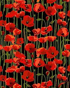 Tablou pe numere Strateg Camp de maci AH1023