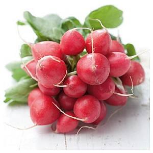 Seminte de ridichie Rijk Zwaan Rondeel RZ