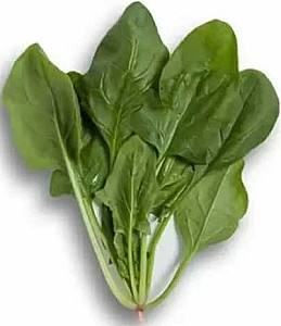 Seminte de salata Rijk Zwaan Boa RZ