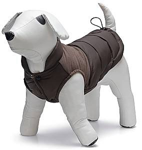  Beeztees WISTI Brown 24 (766614)