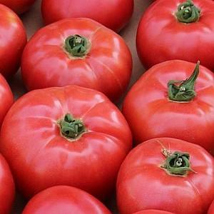 Семена помидор Clause Афен F1
