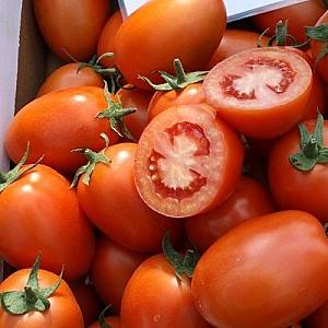 Семена помидор Clause Тукано F1