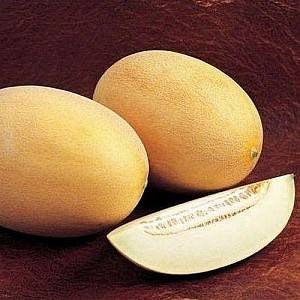 Seminte de pepene galben Hazera Raymond F1
